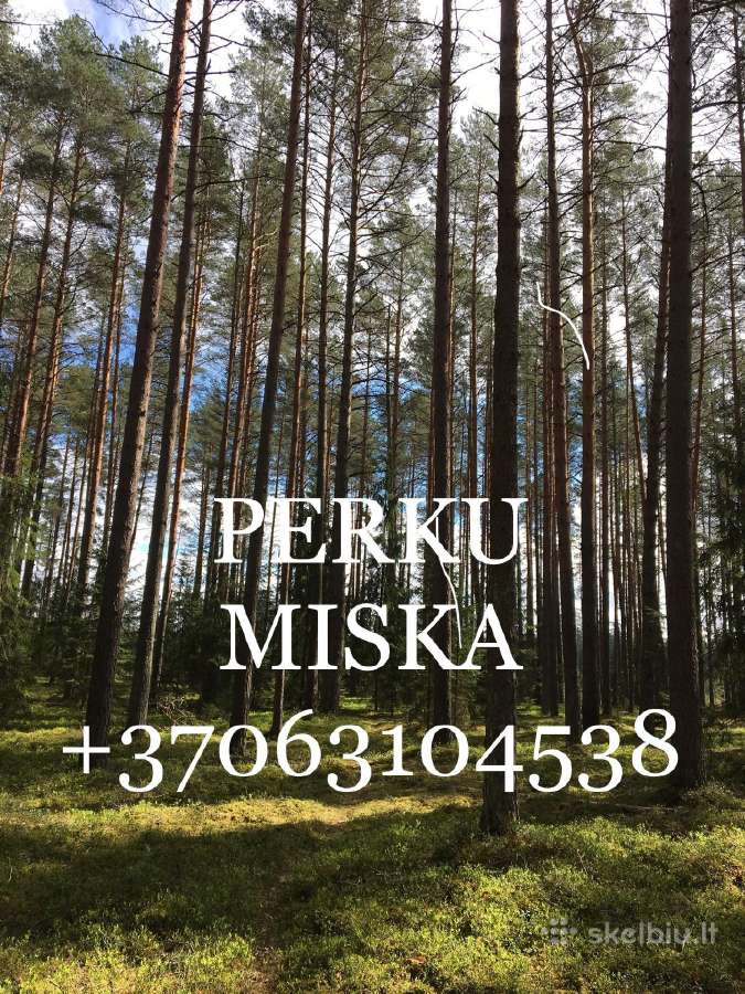 Perku miska