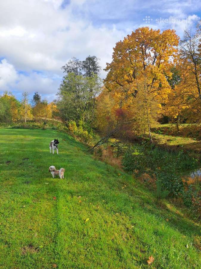 Nuomojama ''Balbieriškio vila'' - nuotraukos Nr. 8