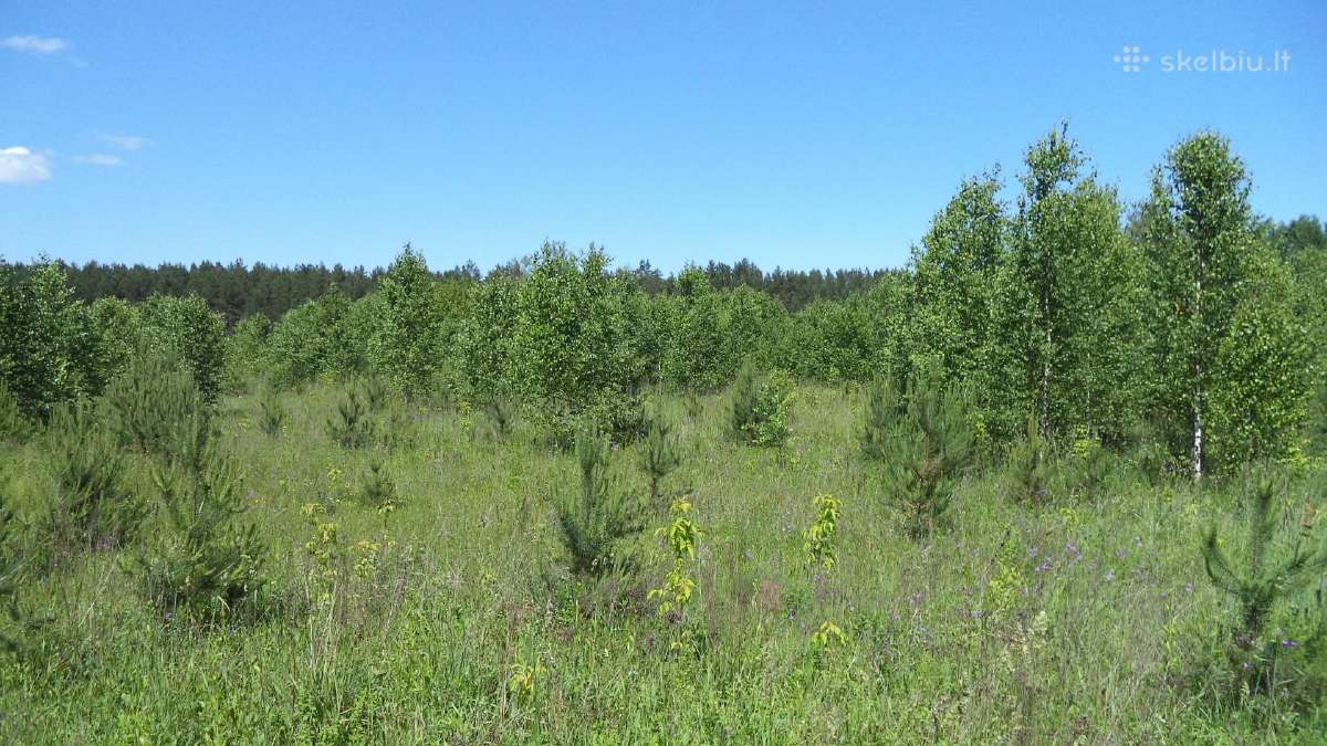 2,6 ha sklypas prie Neries - nuotraukos Nr. 2