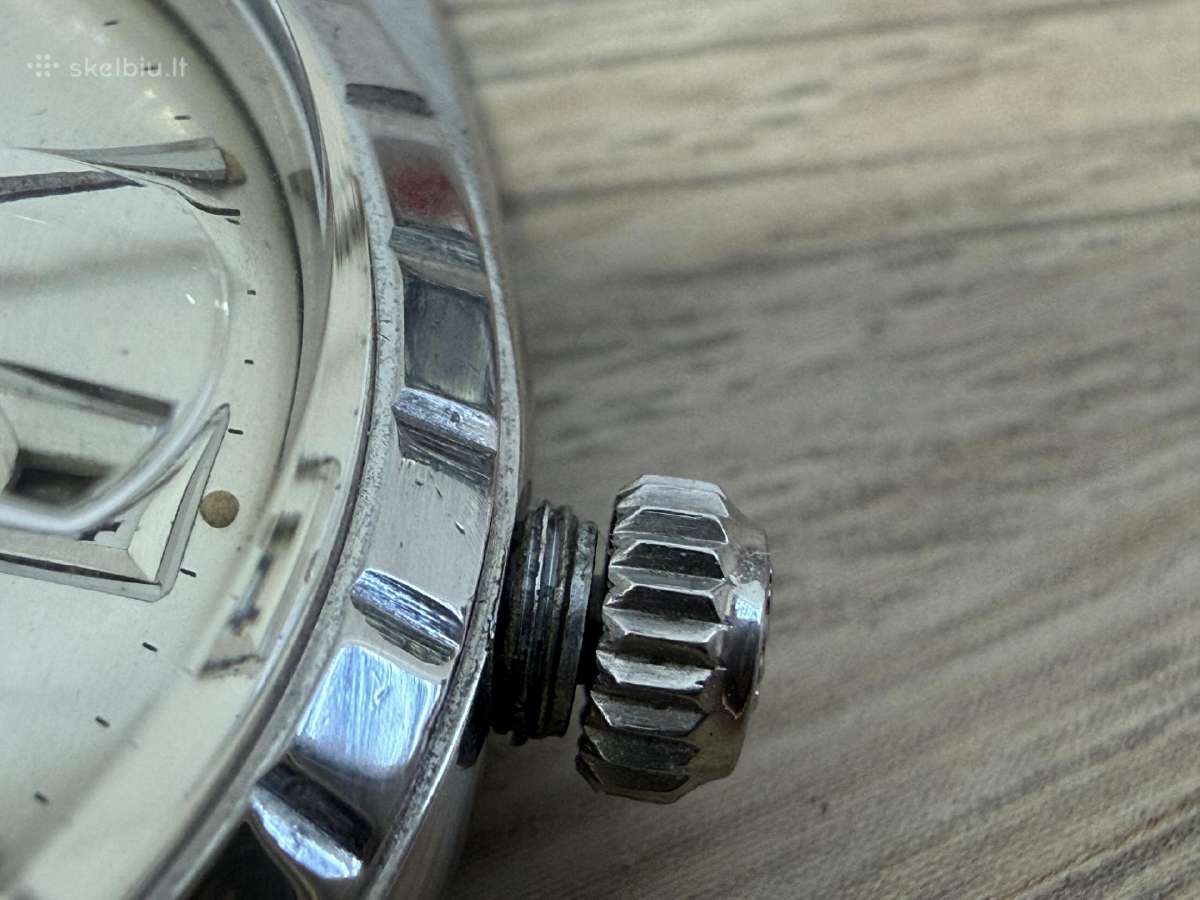 Tudor Prince Small Rose - nuotraukos Nr. 15
