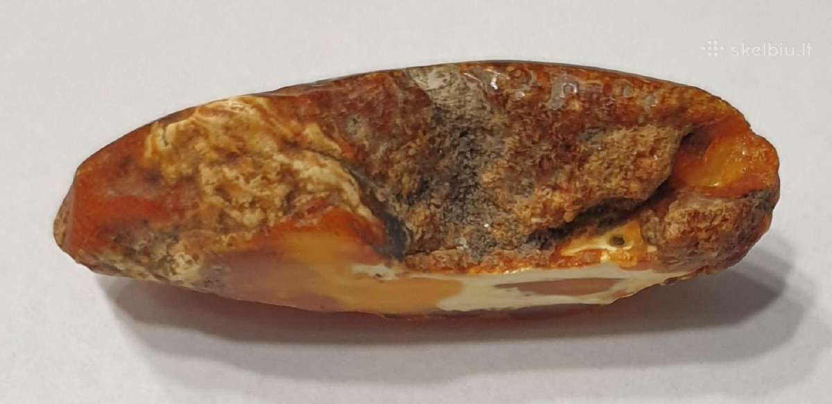 Gintaras 9,6 gr. - nuotraukos Nr. 4