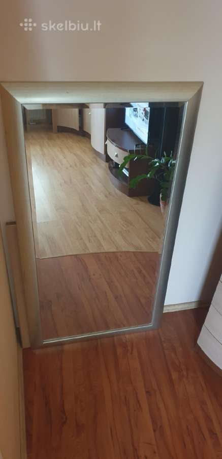 Didelis veidrodis ~75x135 su remu