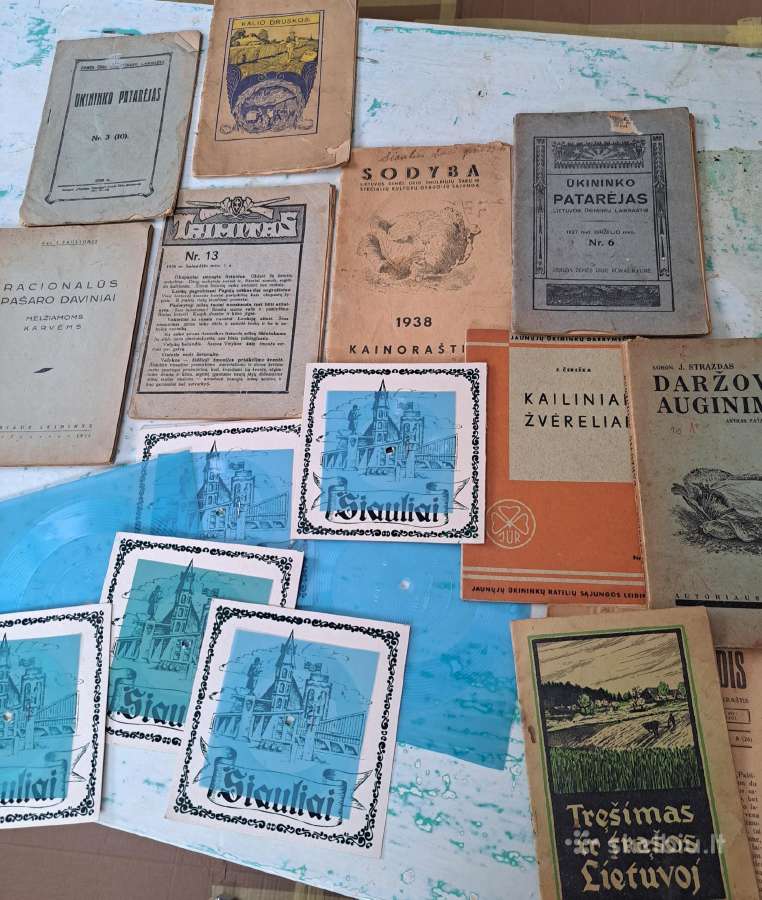 Tarpukario literatūra.