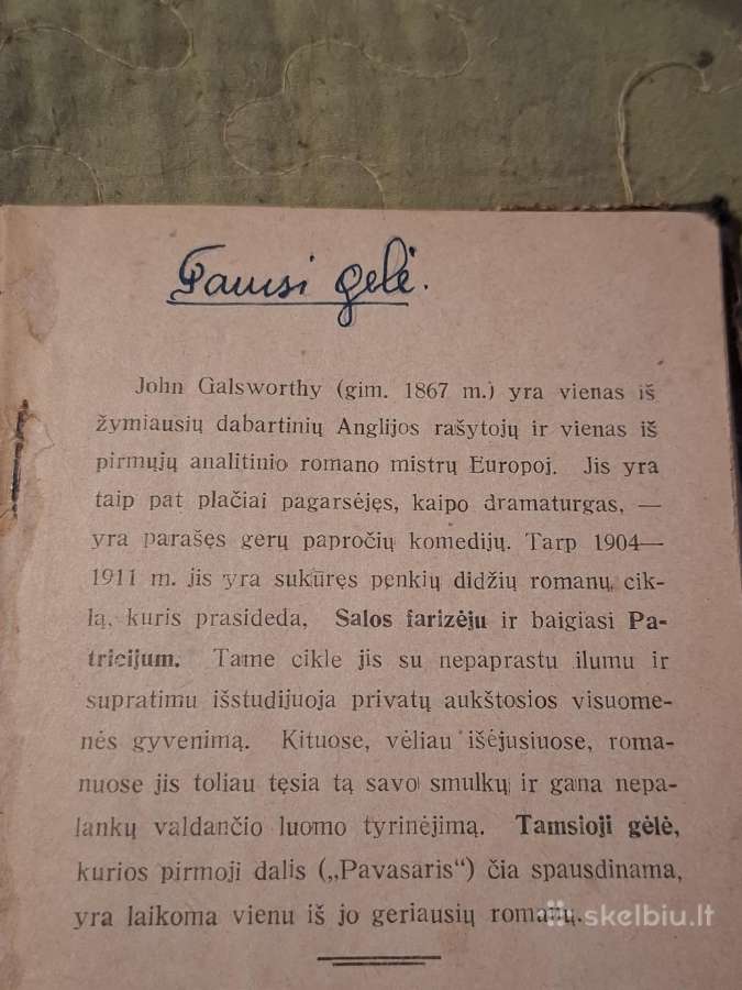 Tamsi gėlė - nuotraukos Nr. 3