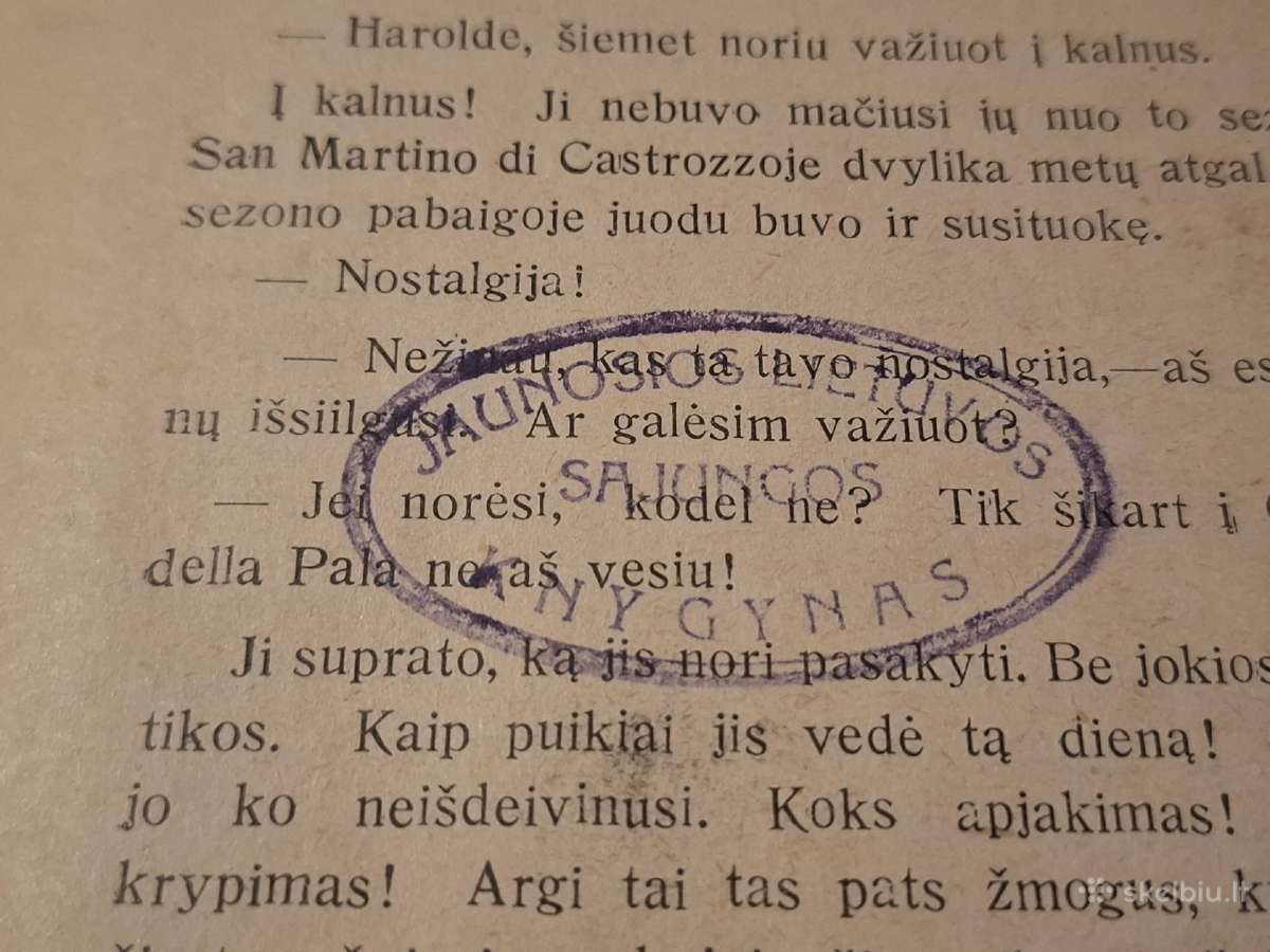 Tamsi gėlė - nuotraukos Nr. 9