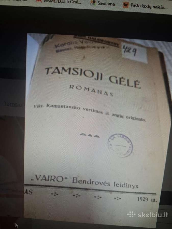 Tamsi gėlė - nuotraukos Nr. 14