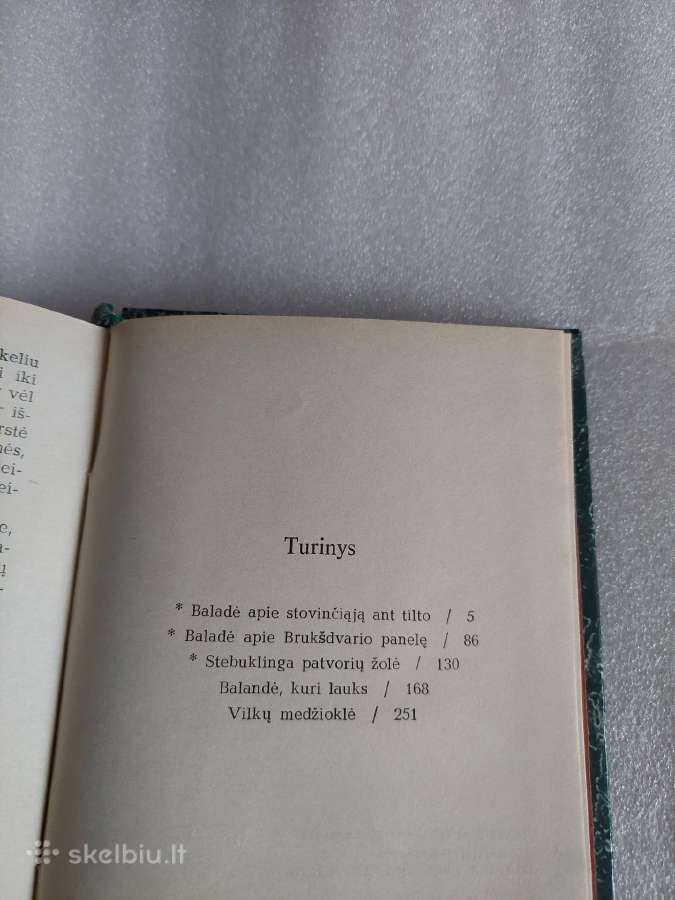 Balandė, kuri lauks - nuotraukos Nr. 3