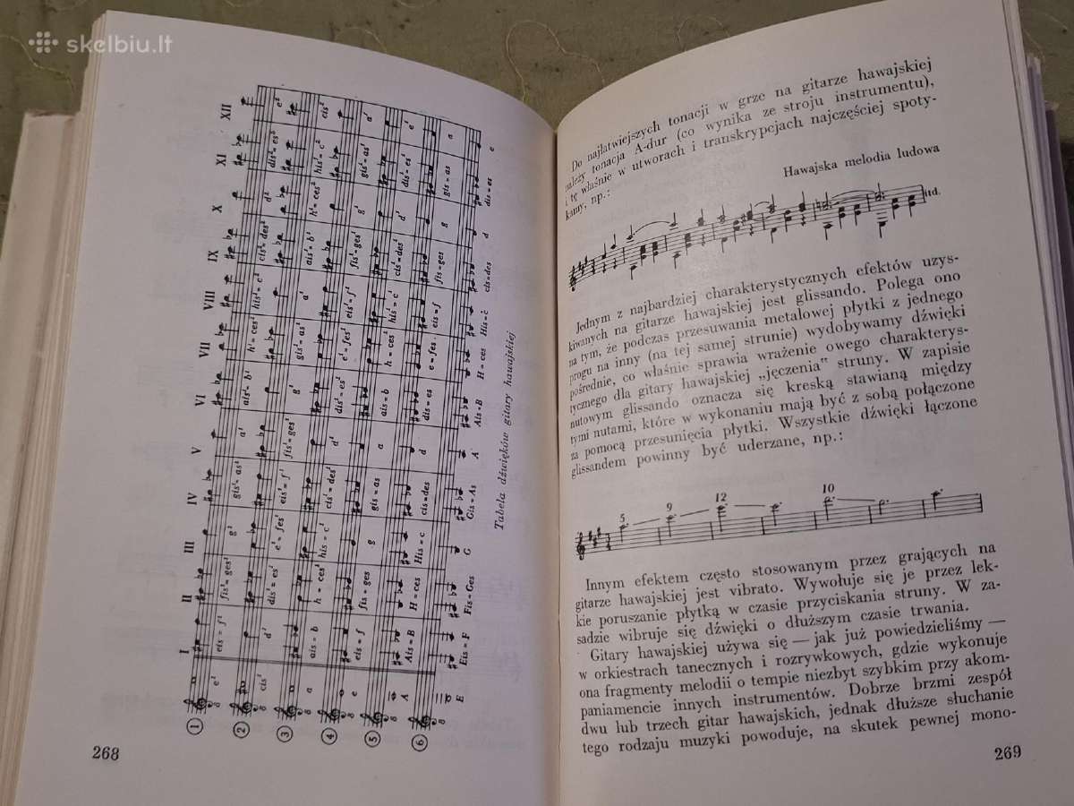 Gitara - nuotraukos Nr. 14
