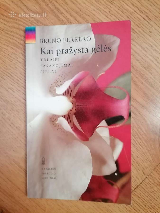 Biografinės, istorinės, politinės,religinės knygos - nuotraukos Nr. 38