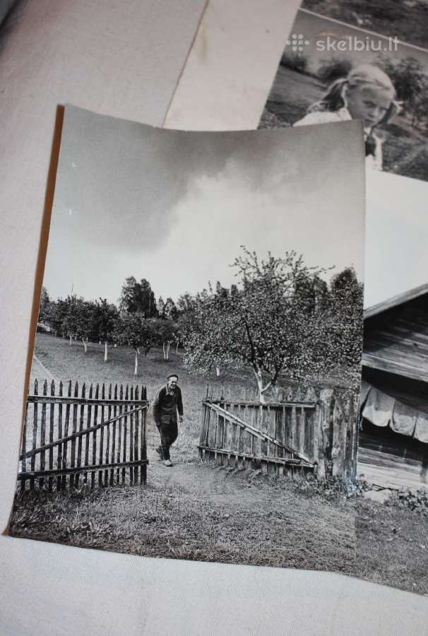 Romualdo Rakausko fotografija Švendubrės kaime - nuotraukos Nr. 3