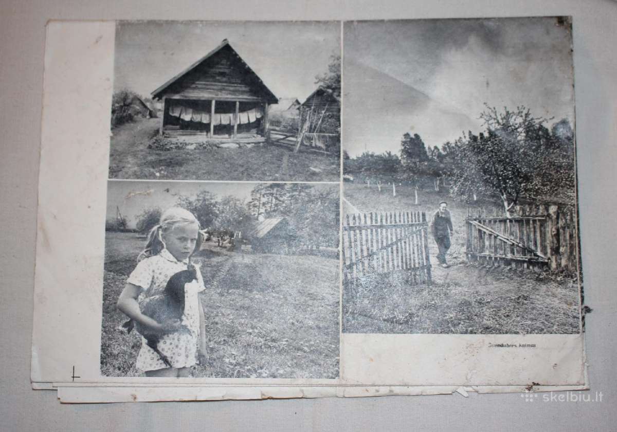 Romualdo Rakausko fotografija Švendubrės kaime - nuotraukos Nr. 10