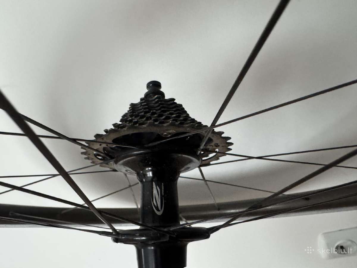 Zipp - nuotraukos Nr. 5