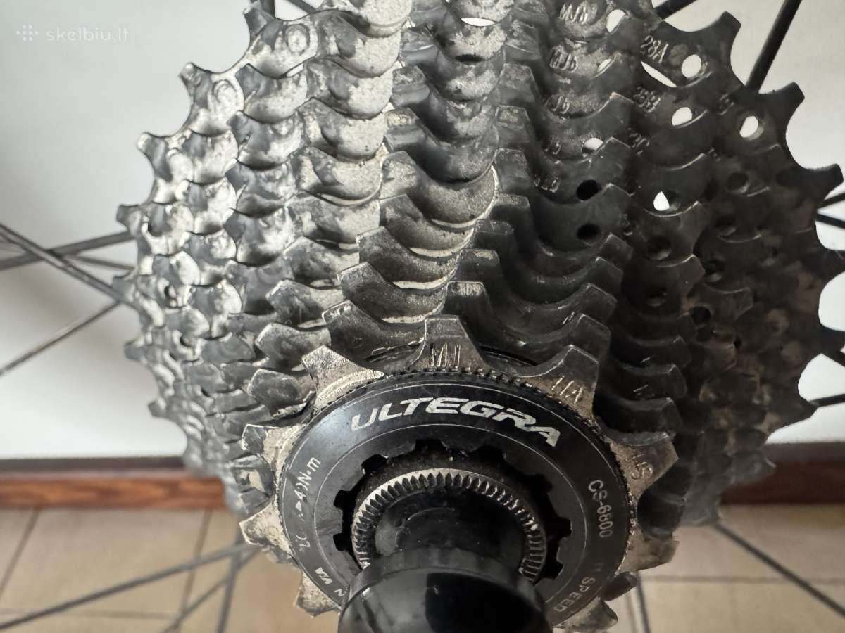 Zipp - nuotraukos Nr. 6