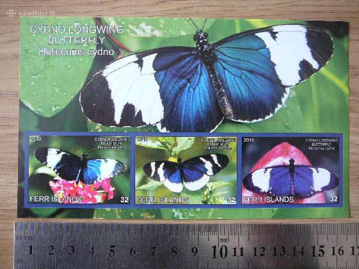 Drugeliai 2010 Mnh ferr52