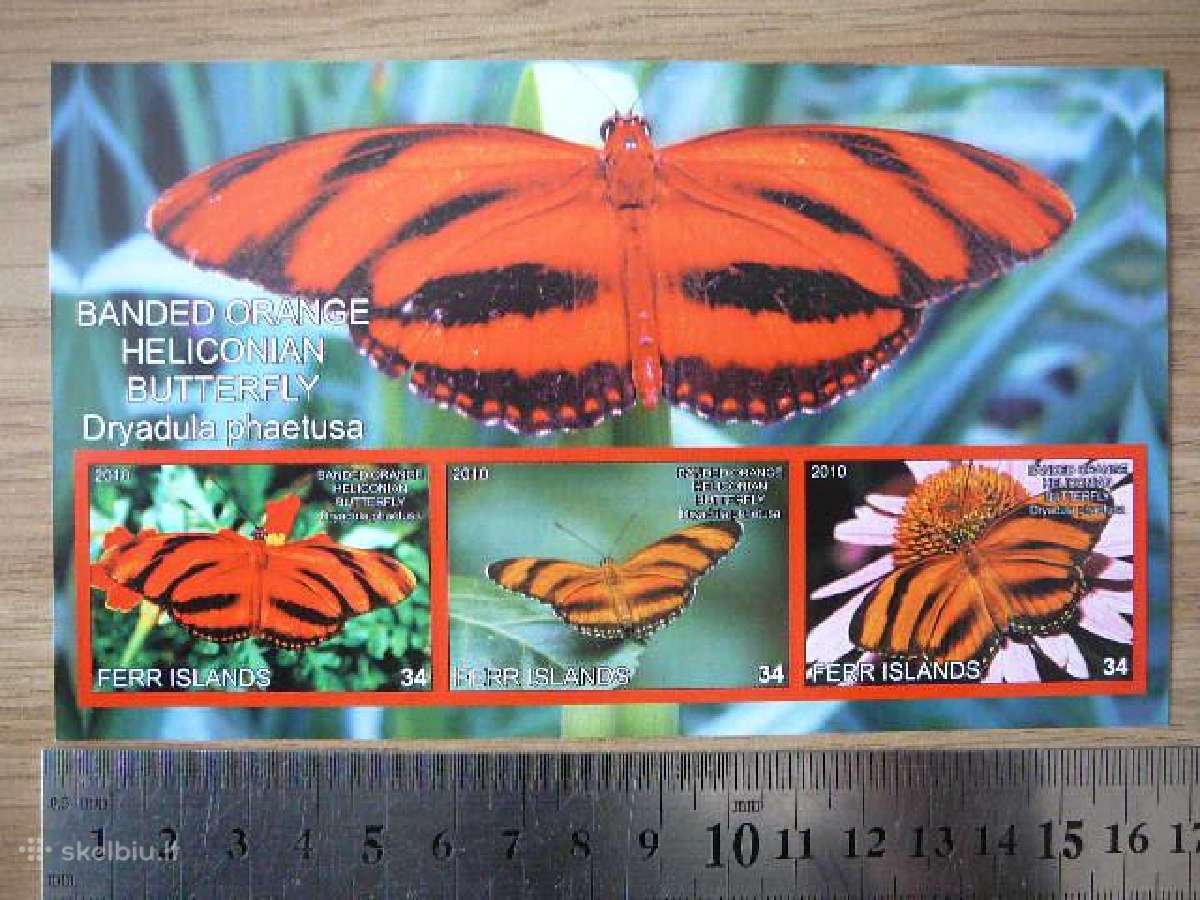 Drugeliai 2010 Mnh ferr53
