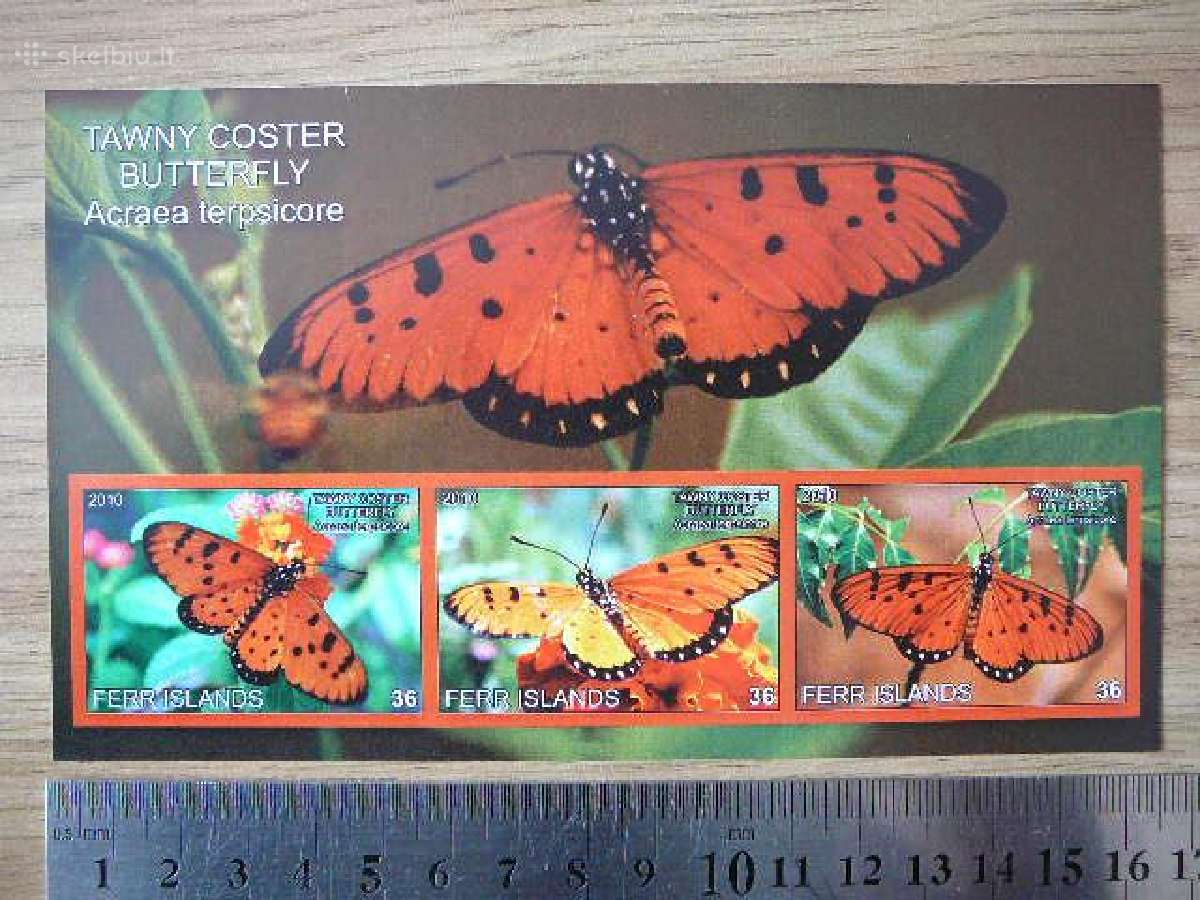 Drugeliai 2010 Mnh ferr59