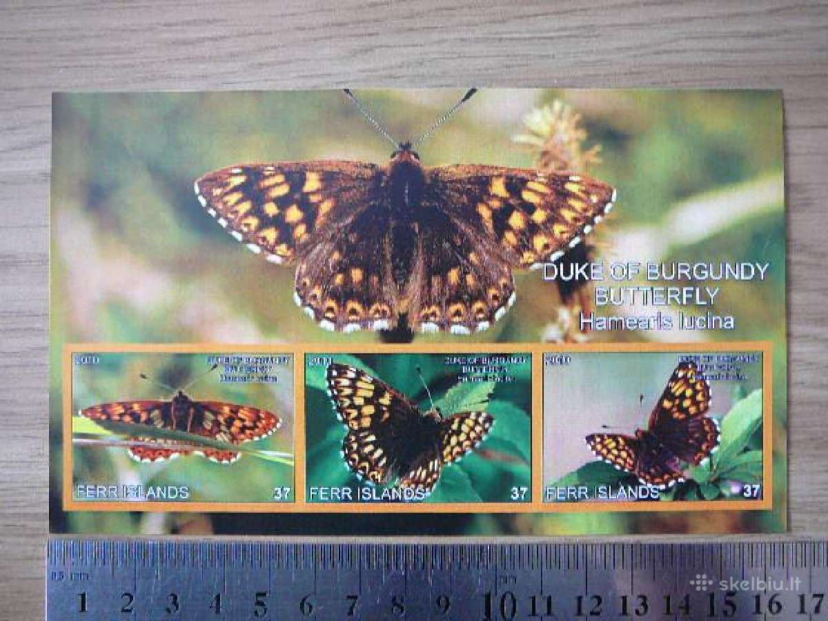 Drugeliai 2010 Mnh ferr62