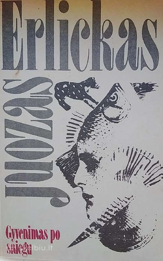 Gyvenimas po sniegu