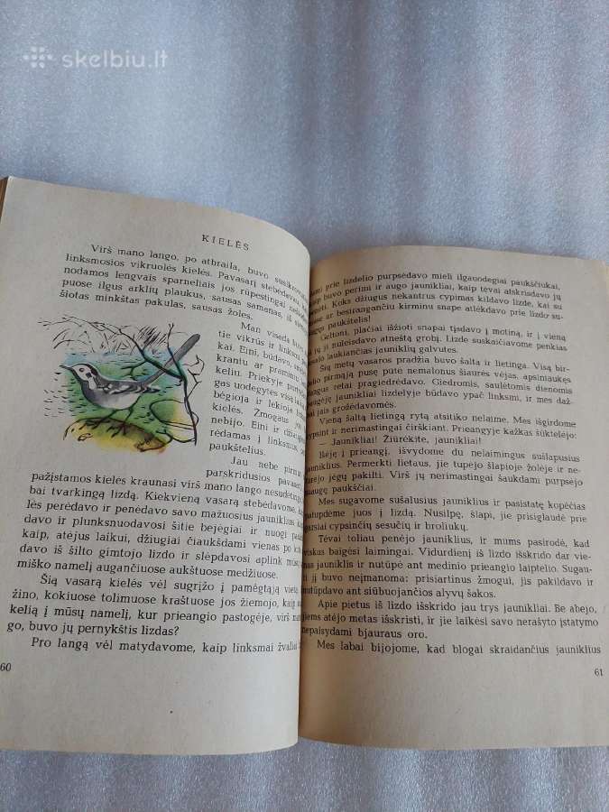 Žemės garsai - nuotraukos Nr. 4
