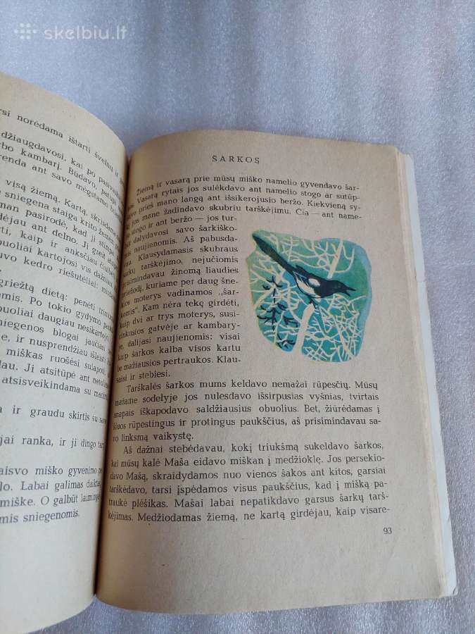 Žemės garsai - nuotraukos Nr. 5