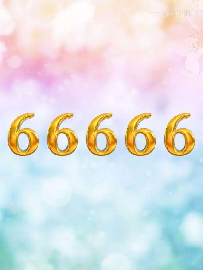 Parduodu numeri 6x0 66666