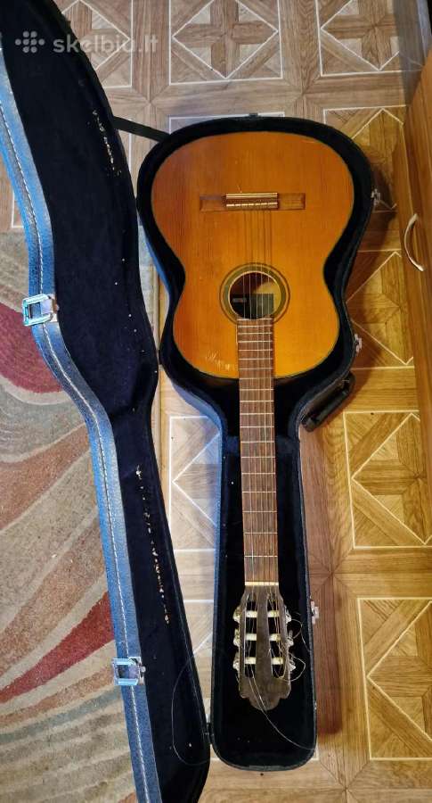 Seniena