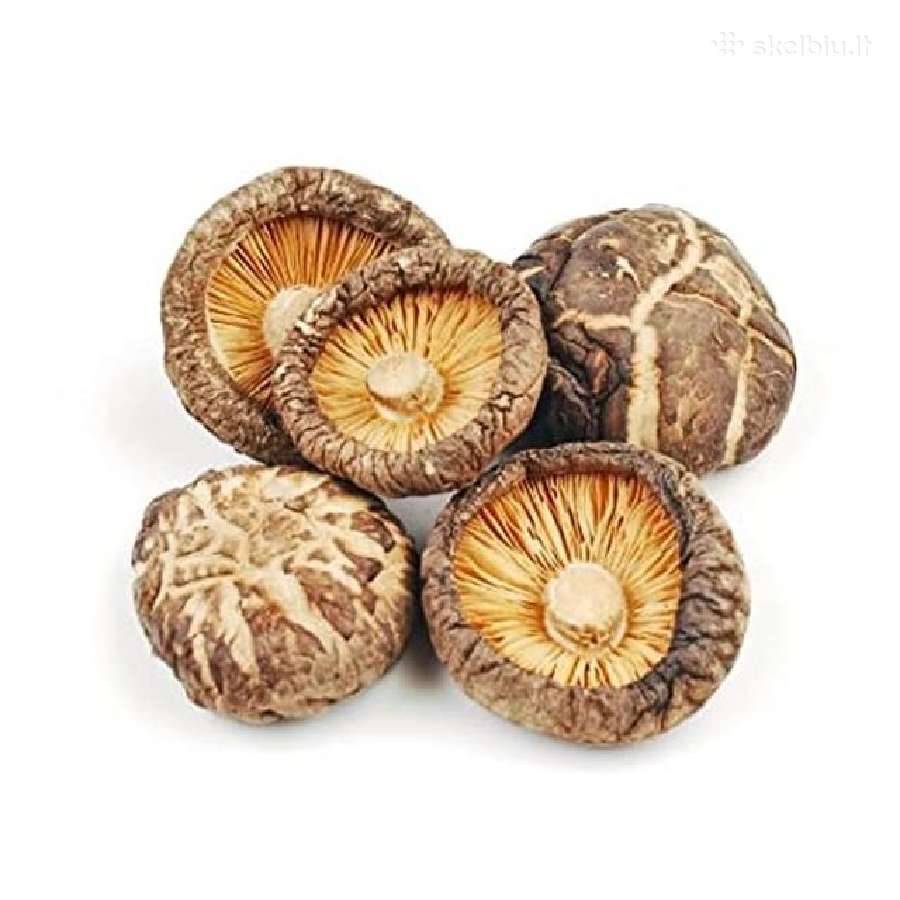 Shiitake grybai