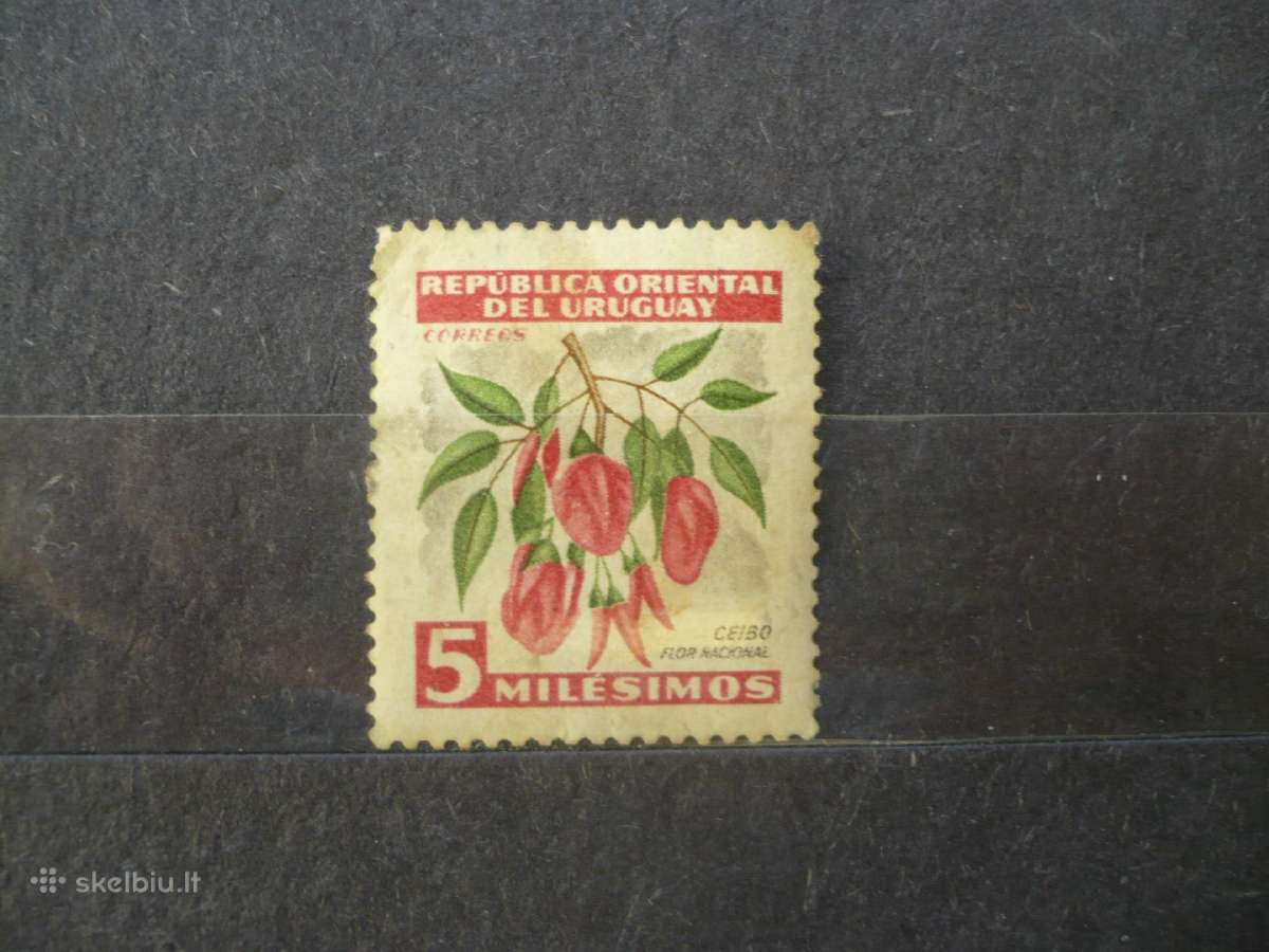 1954 m. Vietiniai motyvai Mhn