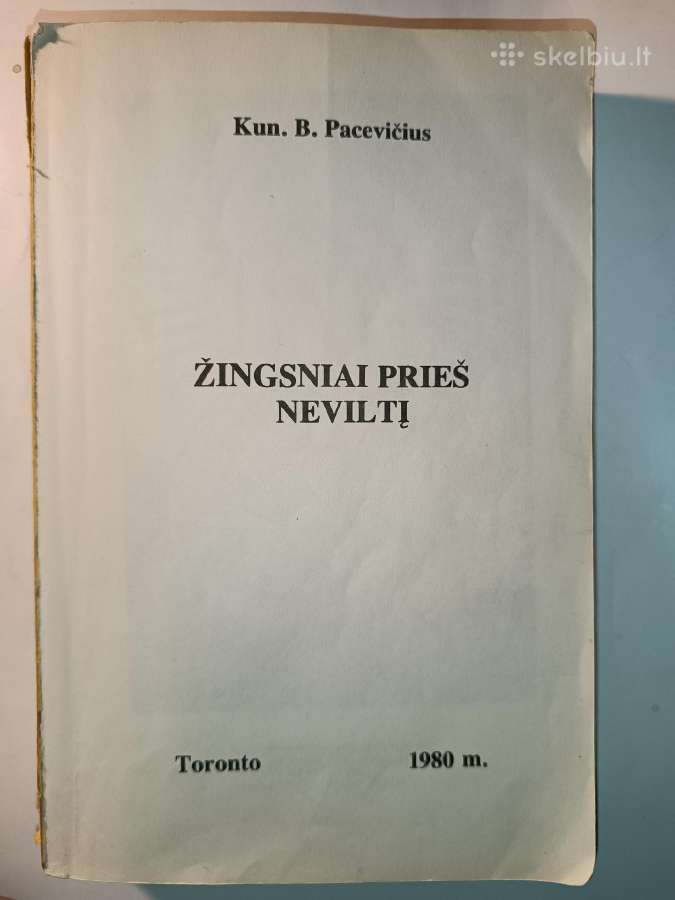 Žingsniai prieš neviltį. B. Pacevičius
