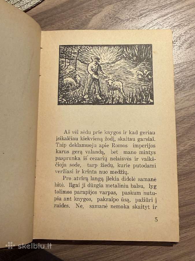 Cukriniai avinėliai 1935 - nuotraukos Nr. 3