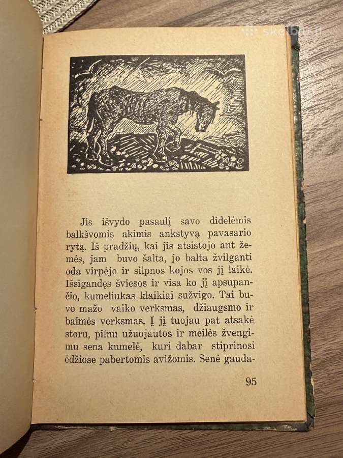 Cukriniai avinėliai 1935 - nuotraukos Nr. 8
