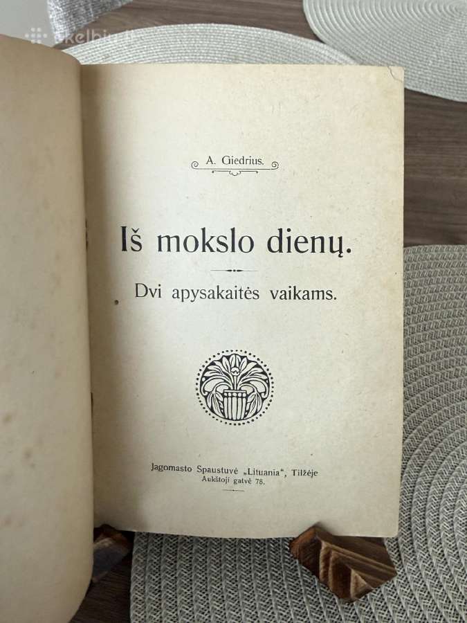 Iš mokslo dienų 1921 m. - nuotraukos Nr. 2
