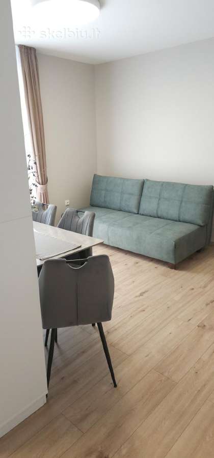 Išnuomojamas 1 miegamojo apartamentas su terasa - nuotraukos Nr. 4