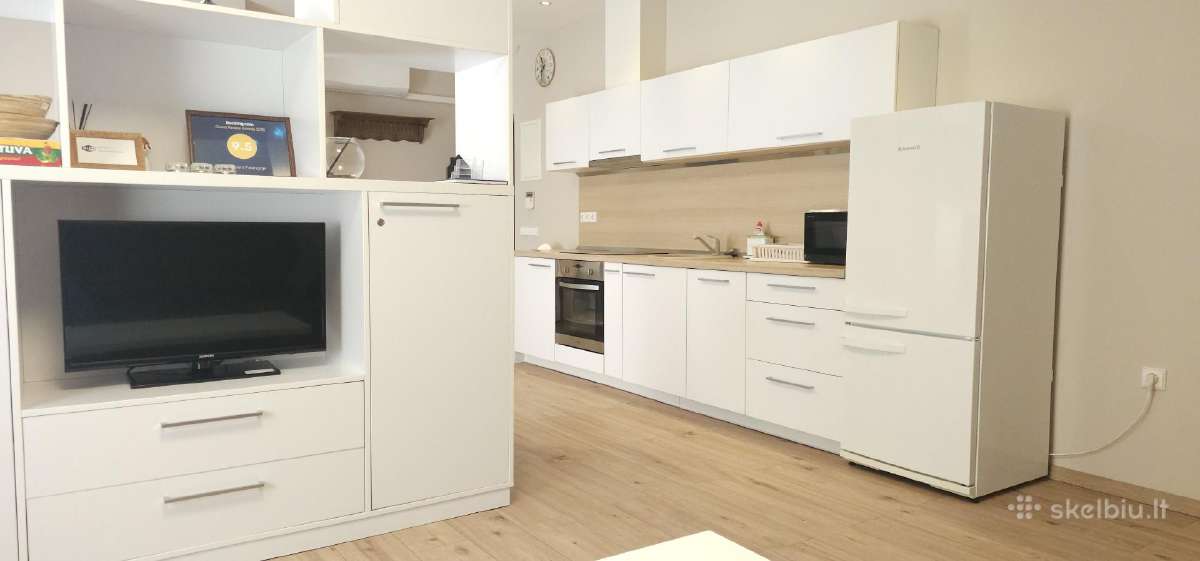 Išnuomojamas 1 miegamojo apartamentas su terasa - nuotraukos Nr. 6
