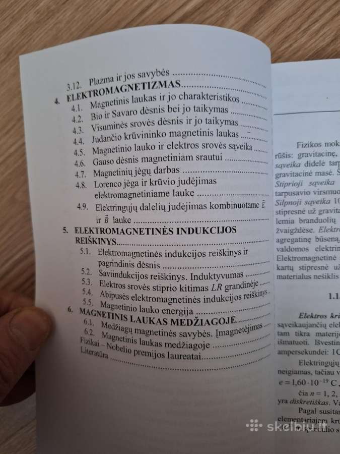 Fizika elektromagnetizmas - nuotraukos Nr. 4