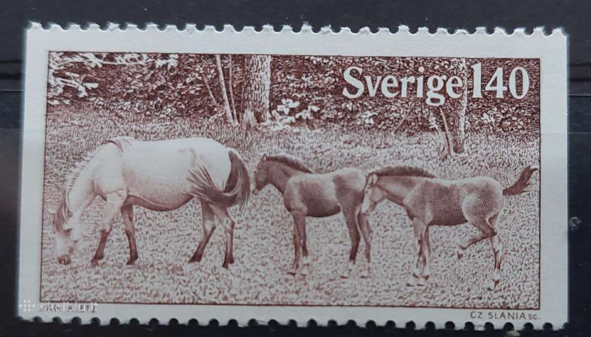 Švedija 1977 arkliai, švarus Michel 993