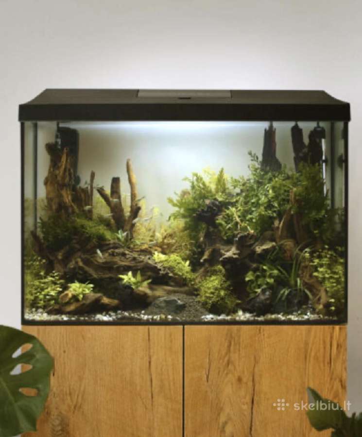 Aquael Leddy 60 XL Dangtis su priedais