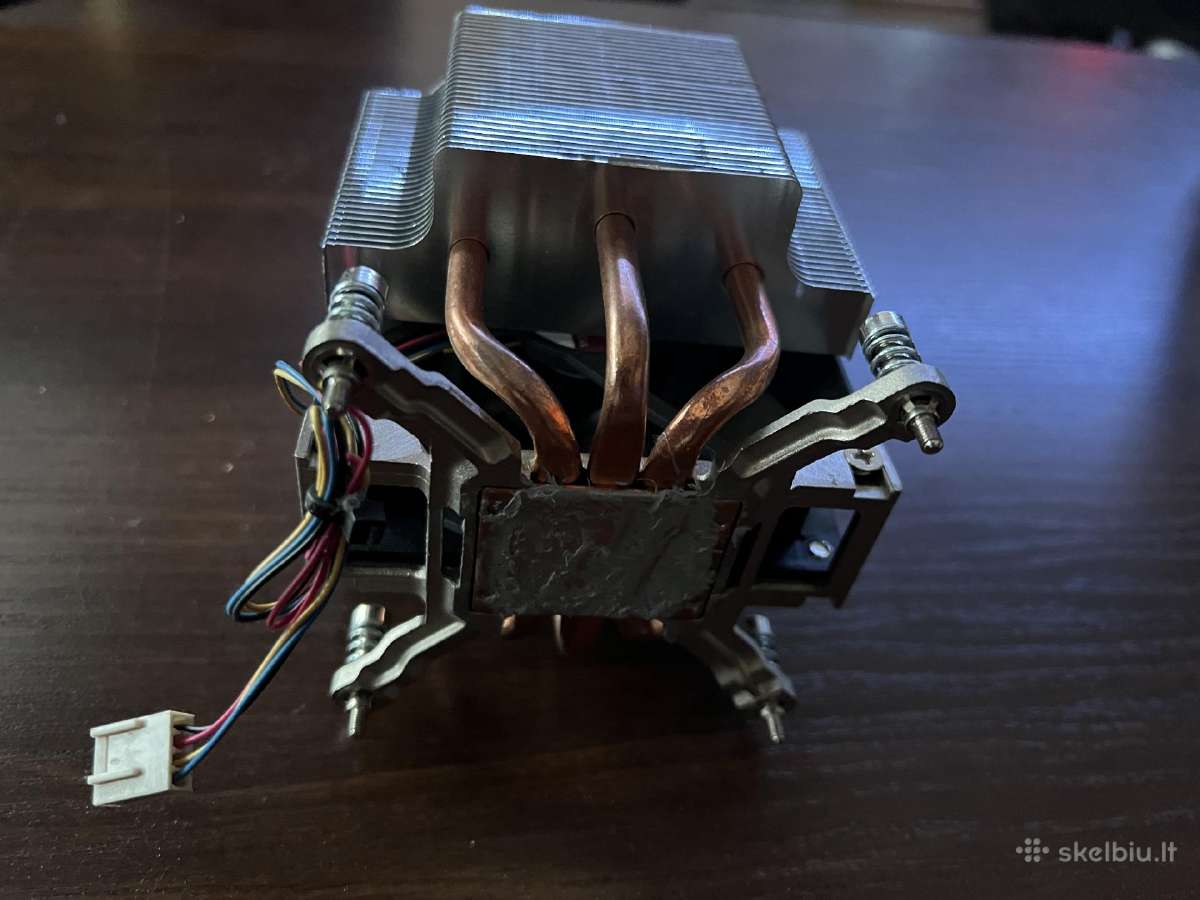 Intel ausintuvas terra - nuotraukos Nr. 2