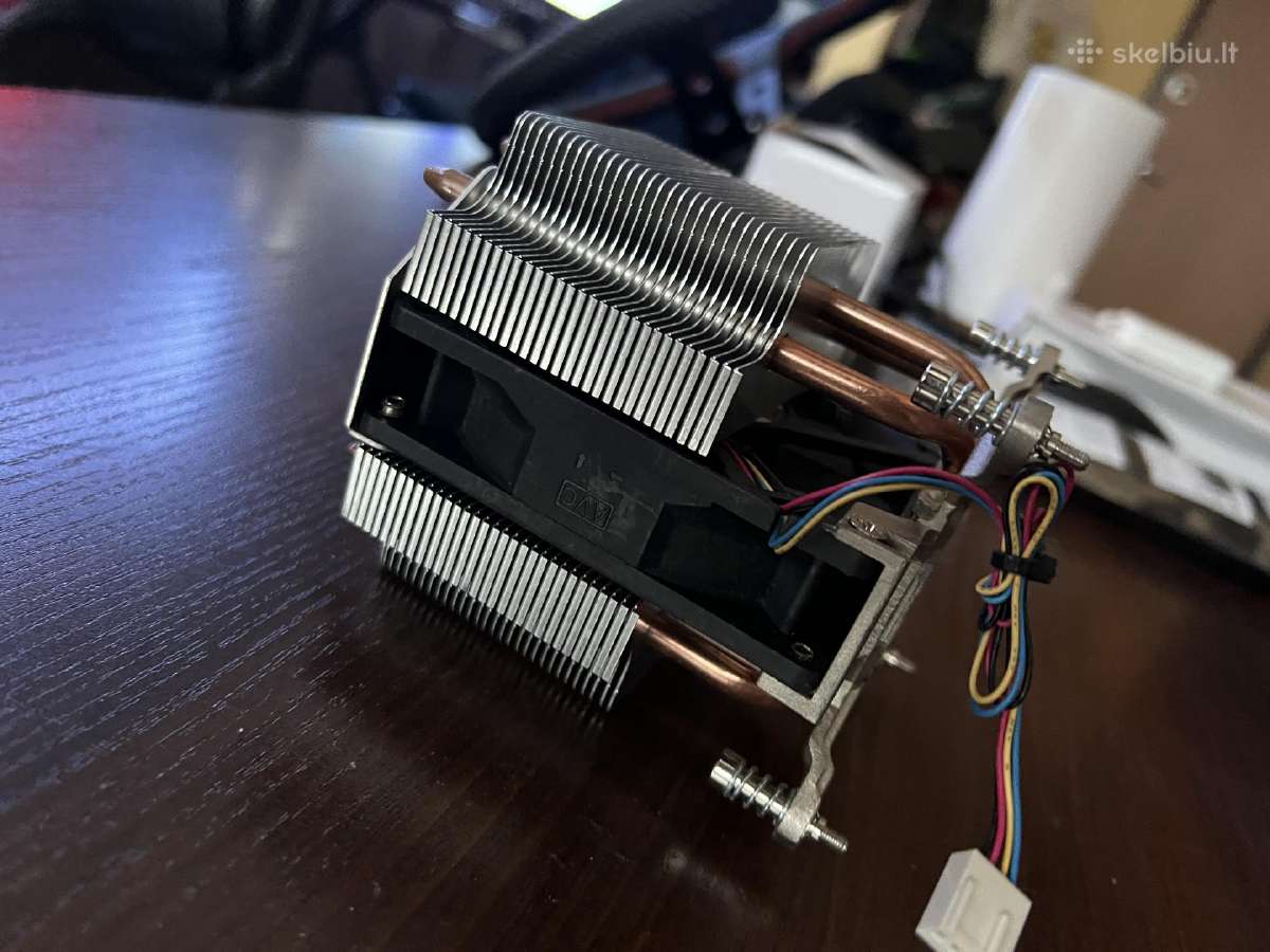 Intel ausintuvas terra - nuotraukos Nr. 3