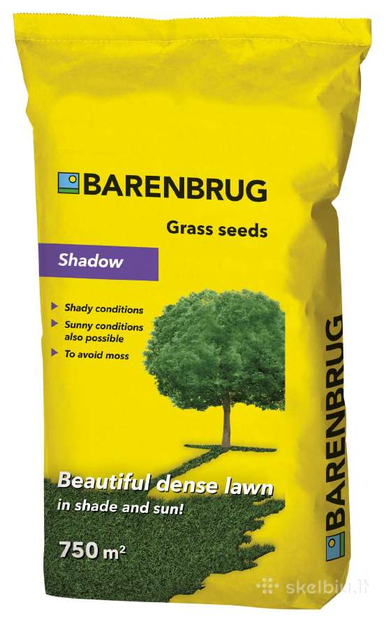 Barenbrug vejos sėklos - nuotraukos Nr. 3