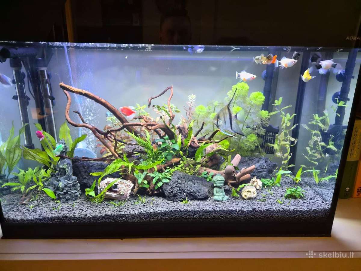 Aquael Glossy 125l LED D&n Detalėms renovacijai - nuotraukos Nr. 4