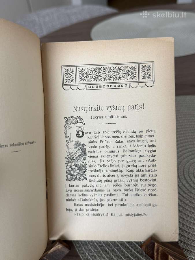 Nusipirkite vyšnių patys! - nuotraukos Nr. 3