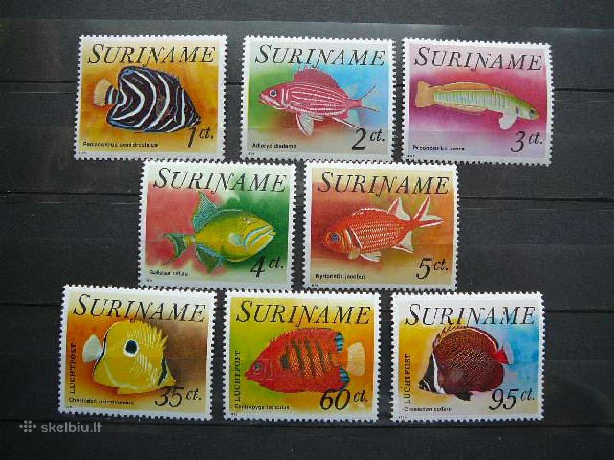 Zuvys Surinamas 1976 svarus snm31