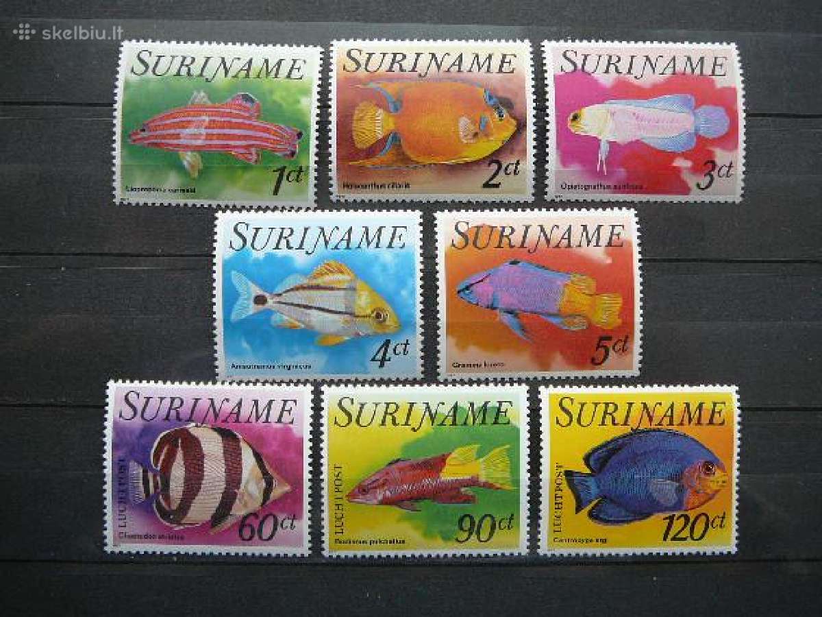 Zuvys Surinamas 1977 svarus snm32