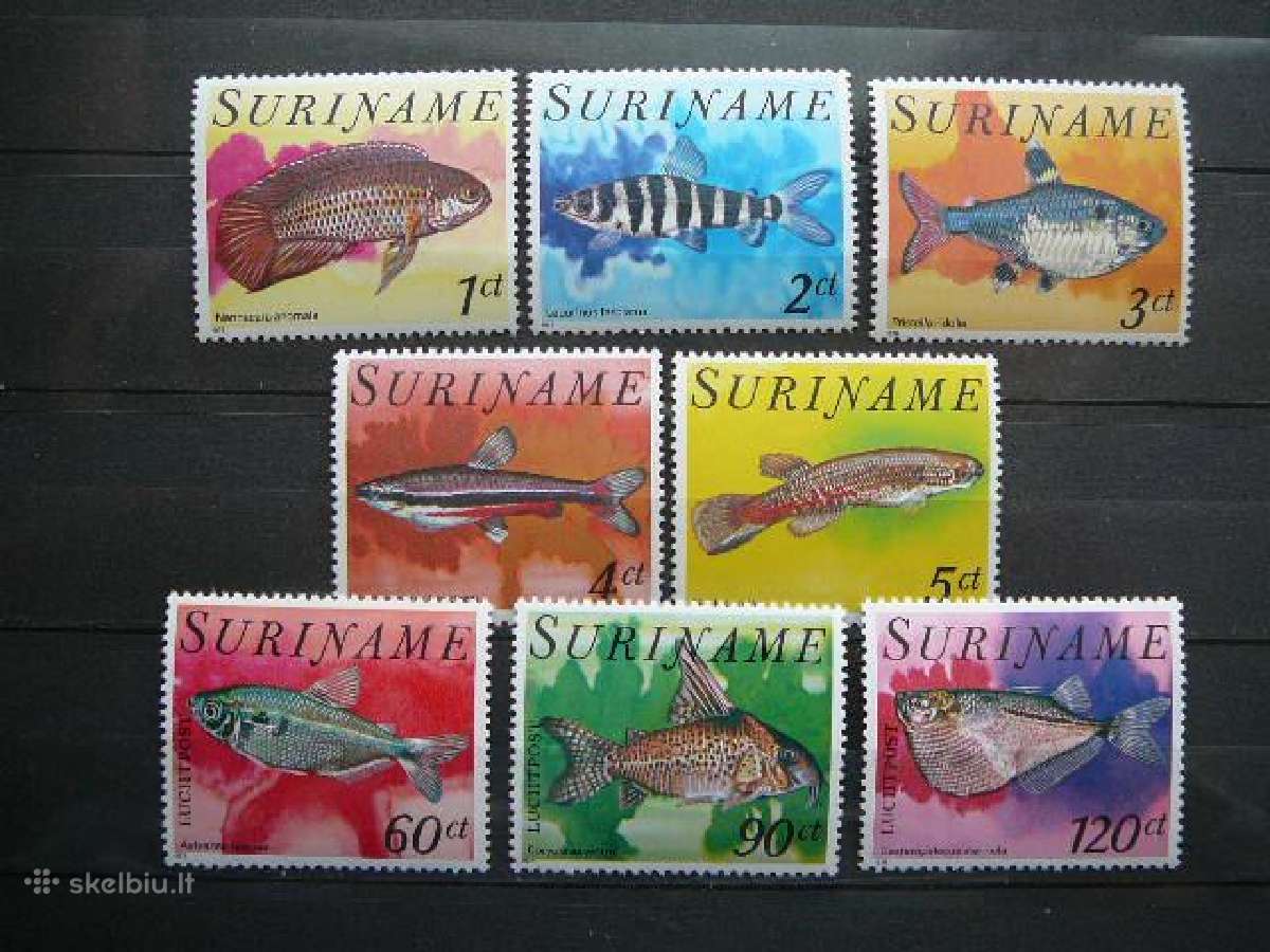 Zuvys Surinamas 1978 svarus snm33