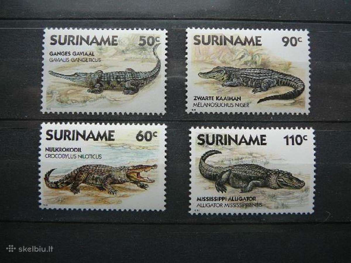 Krokodilai Surinamas 1988 svarus snm36