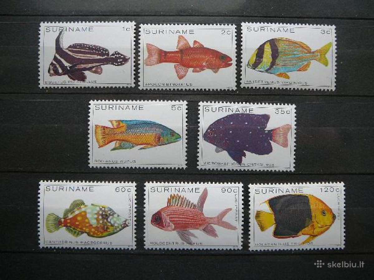 Zuvys Surinamas 1979 svarus snm34