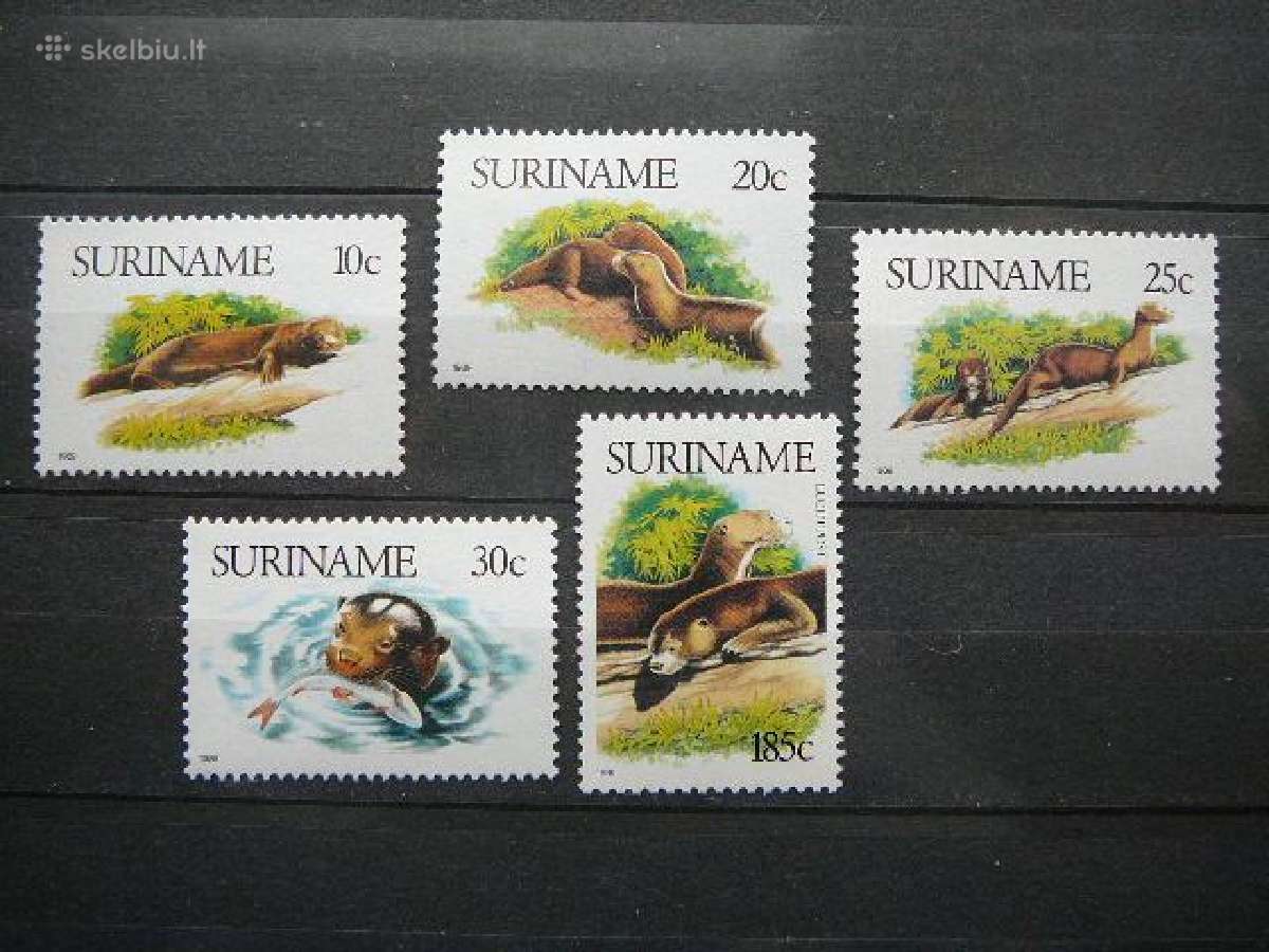 Udros Surinamas 1989 svarus snm38