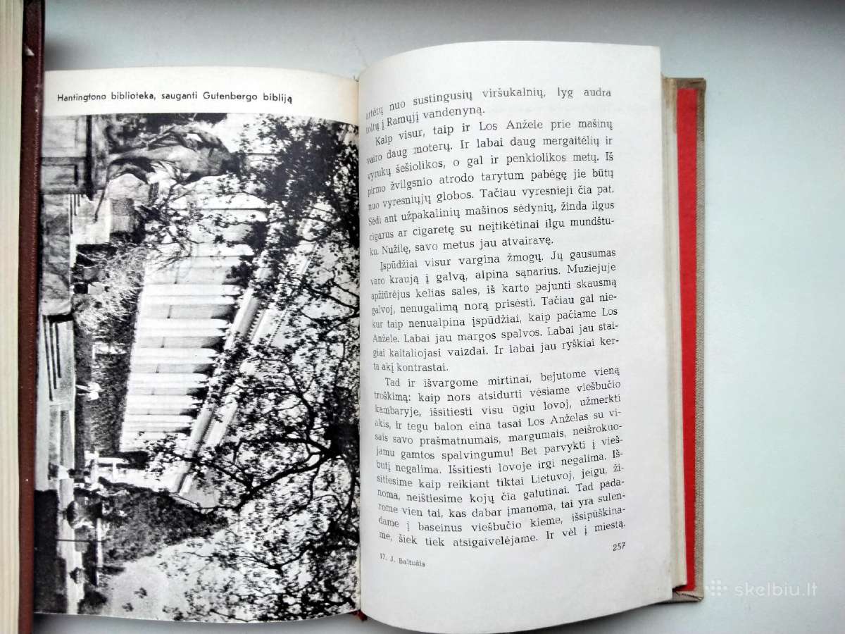J. Baltušis. Valiusei reikia Alekso. Tėvų ir broli - nuotraukos Nr. 21
