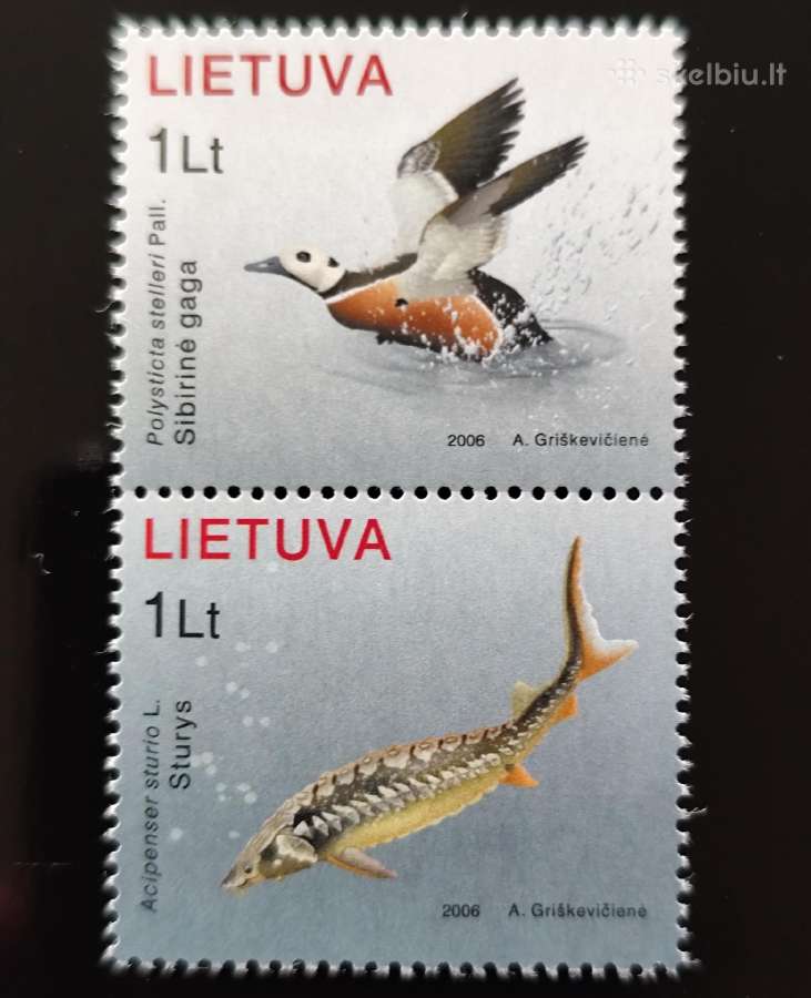 Lietuva 2006